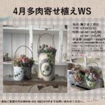リメ缶多肉寄せ植えワークショップ