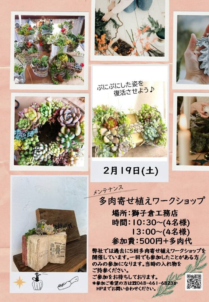 多肉寄せ植えワークショップ(メンテナンス)