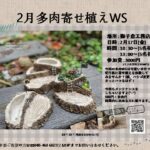 2月多肉寄せ植えワークショップ
